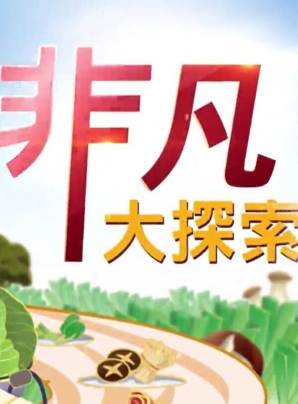 真实约啪高颜值美女做爱完美露脸高颜值女神臣服于胯下爽炸 - CB影视